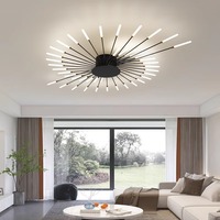 Plafonnier LED créatif d'intérieur effet feux d'artifice, indice de protection IP44, base en fer et acrylique, pour projets hôteliers et commerciaux, éclairage décoratif pour salon