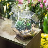 Terrarium en verre géométrique pour plantes aériennes de jardin, décoration de rebord de fenêtre, étagères, support pour plantes succulentes, cactus, fougères, pot de fleurs