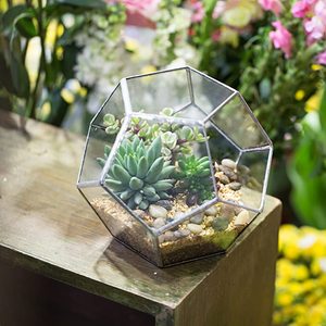 Terrarium en verre géométrique pour plantes aériennes de jardin, décoration de <span class=keywords><strong>rebord</strong></span> de <span class=keywords><strong>fenêtre</strong></span>, étagères, support pour plantes succulentes, cactus, fougères, pot de fleurs - Product Image 4