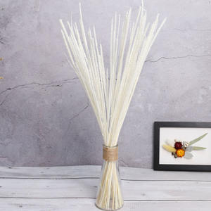 Ventes directes d'usine coloré préservé Kirin herbe fleurs réel naturel séché licorne herbe coton Setaria <span class=keywords><strong>Pumila</strong></span> nouvelle-zélande - Product Image 5