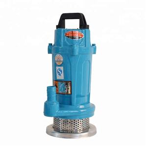 <span class=keywords><strong>Pompe</strong></span> à eau submergée domestique à haute pression de Offre Spéciale 0.25KW <span class=keywords><strong>pour</strong></span> l'irrigation agricole <span class=keywords><strong>pompe</strong></span> de puits personnalisable d'OEM de sortie de 1 pouce - Product Image 4
