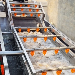 Macchina Automatica per la Pulizia di Verdure a Bolle Lavatrice per Frutta e Verdura per Uso Industriale - Product Image 2