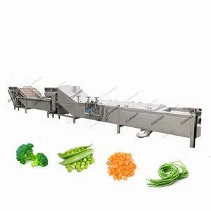 Industrial Fruit Blancher/ Vegetable Steam Blanching Machine