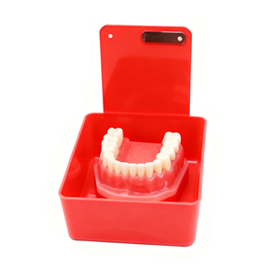 <span class=keywords><strong>Caja</strong></span> <span class=keywords><strong>de</strong></span> trabajo <span class=keywords><strong>de</strong></span> laboratorio dental, bandeja colorida, cajas <span class=keywords><strong>de</strong></span> trabajo <span class=keywords><strong>de</strong></span> entrega con soporte <span class=keywords><strong>de</strong></span> Clip, <span class=keywords><strong>caja</strong></span> <span class=keywords><strong>de</strong></span> trabajo <span class=keywords><strong>de</strong></span> plástico para laboratorio dental, bandeja <span class=keywords><strong>de</strong></span> sartén - Product Image 2