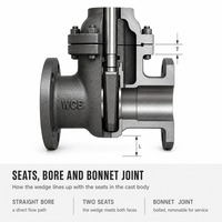 Katup Gerbang OEM Kustom untuk Lini Pabrik Kertas dan Pulp, Kelas API 600 150 A216 WCB, Bonnet Terbaut, Batang Naik, Handwheel, Ujung Berflens