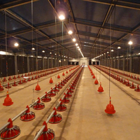 Nave Avícola de Estructura de Acero/Taller Metálico a Precio de Fábrica Barato Edificio de Almacén de Estructura de Acero con Diseño