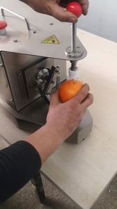 220V Fruit and <b>Vegetable</b> Peeler Machine with Motor for Hotels Retail Restaurants Home Use Food Shops - Product Image 3