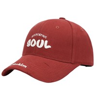 Casquette Gertrude 2025 Nouvelle Collection Designer Broderie Main Léopard Jacquard Oxford Baseball NY Luxe Couleur Unie à Pois