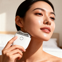 Outil électrique pour le visage en acier inoxydable, grattoir de massage Gua Sha, masseur facial, logo Gua Sha, vente en gros, soins de la peau