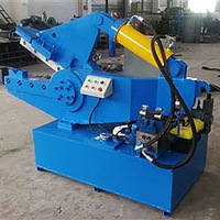 Station de recyclage de ferraille, machine à couper les barres d'acier, cisaille hydraulique à tête de crocodile pour la ferraille métallique