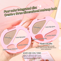 Palette de contour PIPLContour à marque privée, fini scintillant et mat, 4-en-1 : contour, surligneur et blush