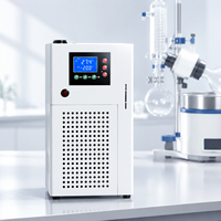 Refroidisseur d'eau de laboratoire numérique haute précision à affichage numérique, pompe de circulation portable