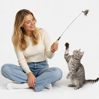 YR J-103 Baguette de chat en bois massif avec corde, longue perche, plumes et clochette, têtes interchangeables, jouets souris et oiseaux, parfait pour les animaux de compagnie