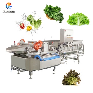เครื่องล้างผักสด ผักโขม กะหล่ำปลี แบบหมุนวน 1-3 ตัน/ชม. พร้อมลูกกลิ้งกำจัดสิ่งสกปรก - Product Image 2