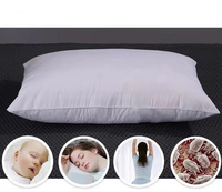 Bantal Bulu Angsa Abu-abu Sarung Katun Hipoalergenik Modern Set Bantal Tidur Koleksi Hotel 2 Ukuran Standar