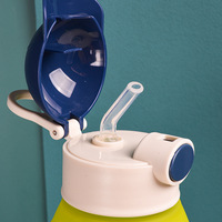Bouteille d'eau en plastique pour enfants avec paille, motif ours Kawaii, 650 ml, dégradé givré, sans BPA, pour l'école et les voyages