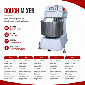 Hochleistungs-Bäckerei-Teigknetmaschine H30/H40/H50/H60/H80 für Brot Pizza Gebäck Teigmischgeräte - Product Image 3