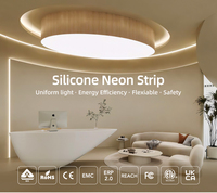 Bande lumineuse néon pour la régulation de l'humeur et le bien-être, 1212 24V 11W 3000K 120LED, pour cliniques de santé mentale et salles de thérapie sensorielle, éclairage d'ambiance