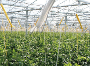 Fil de corde à treillis pour l'agriculture, résistant aux UV, pour tomates et bananes, protection de l'environnement T&H - Product Image 2