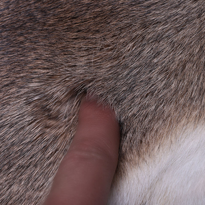 衣料品や家庭用テキスタイル用の本物のウサギの毛皮、柔らかいウサギのポッサムファー - Product Image 2