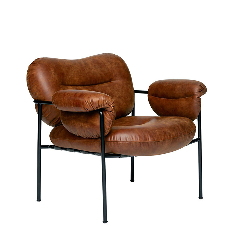 Nordic Style Leisure Brown Sofa Furniture