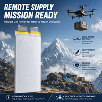 Baterai Drone 3.7V 52000mah 350wh/kg Sel Baterai Semi Solid State Densitas Energi Tinggi untuk Baterai Drone Lipo