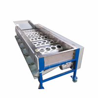 Apple ordinamento macchina/Patate Lavaggio e La Classificazione Linea grader arancione