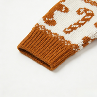 Pull en tricot festif pour femme adulte, motif Jacquard Bonhomme en pain d'épices, vêtement d'hiver doux, production en gros