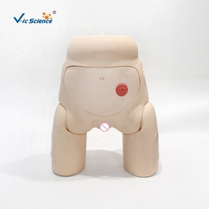 Modèle avancé de cathétérisme féminin avec urètre et bassin simulés pour la pratique clinique des étudiants en soins infirmiers et l'enseignement médical - Product Image 5
