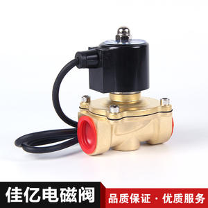 Vente directe d'usine de vannes solénoïdes de fontaine en laiton modèle 2W-500-50 - Product Image 5