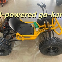 Go Kart Deportivo para Adultos y Adolescentes, con Tracción de Cadena, Motor de Gasolina de 4 Tiempos, para Parques de Diversiones