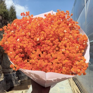 Lot en vrac de 400g-500g de Gypsophile séché pour la confection de cadeaux d'anniversaire, de cadeaux de fêtes et de bouquets - Product Image 2