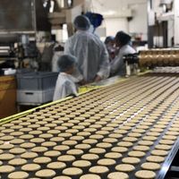 Fabricant de ligne de production de biscuits de taille moyenne de Shanghai, Biscuit mou et biscuit dur formant la machine, équipement de biscuit