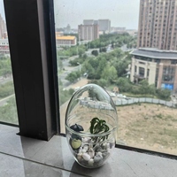 Seni Modern Deco transparan buatan tangan kaca borosilikat berbentuk peluru kubah terarium vas meja dipasang di dinding alam Mini