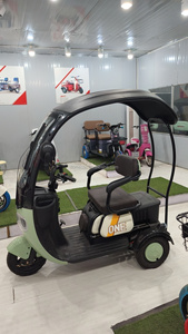Triciclo Urbano de Ocio 2024 al por Mayor de Fábrica, con Motor de 500W/800W, Batería de Plomo-ácido de 48V y Dos Filas de Asientos - Product Image 1