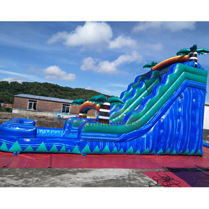 Tobogán Acuático Inflable Tropical de Colores con Piscina para Niños, Castillo Hinchable Acuático Comercial - Product Image 5