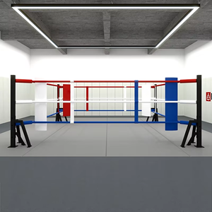 Fabriqué en Chine Petit ring de boxe Kickboxing Match de boxe pour l'entraînement quotidien à l'intérieur et à l'extérieur - Product Image 4