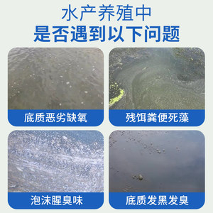 Tabletas de Azufre de Acción Rápida, 20 Unidades, Descomponen Lodos, Aumentan la Oxigenación, Purifican el Agua para Acuicultura - Product Image 4