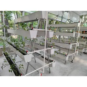 NFT Hydroponic Growing Systems With Channel Gutter Planting Agricultural Greenhouses