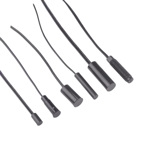 FPS-30R5สวิตช์แม่เหล็กแบบขดลวด2/3สำหรับอุตสาหกรรมสวิตช์ n/nc/changeover พร้อมพลาสติกปิดผนึกเพื่อความปลอดภัย - Product Image 4