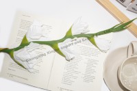 Vente en gros de nouvel arrivage de glaïeuls blancs artificiels avec des fleurs au toucher réel pour mariage, maison, hôtel, bureau, décoration
