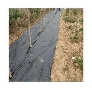 PP agro anti weed net cloth fabric ground cover 2x100m black