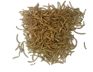 Bird food type of mecrowave dried mealworm