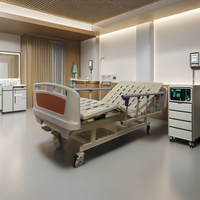 Lit d'hôpital manuel à deux manivelle B1-A pour les soins infirmiers et les soins aux patients, lit médical pour personnes âgées à 2 fonctions