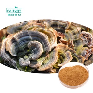 Faitury - Extracto <span class=keywords><strong>de</strong></span> Hongo Cola <span class=keywords><strong>de</strong></span> Pavo (Coriolus <span class=keywords><strong>Versicolor</strong></span>) Orgánico en Polvo al por Mayor - Product Image 1