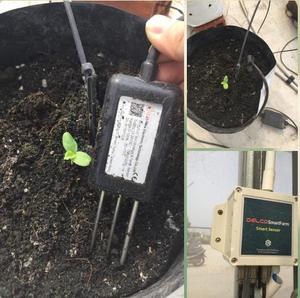 Sensor de Humedad del Suelo Industrial Impermeable RIKA RK520-01 FDR para Plantas, 4-20mA RS485, para Pruebas de Riego, Modelo RK520-01 TDR - Product Image 4