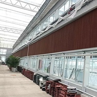 Serres agricoles GT, grandes serres en film plastique multi-spans avec structure en métal
