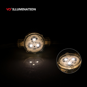 Bảo vệ kép IP68 50mm <span class=keywords><strong>Led</strong></span> điểm <span class=keywords><strong>pixel</strong></span> nguồn ánh sáng lập trình cho chiếu sáng cầu - Product Image 4