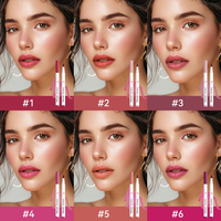 Crayon à lèvres mat haute pigmentation à marque privée, waterproof, longue tenue, 6 couleurs, résistant au transfert, vente en gros, pour usage quotidien
