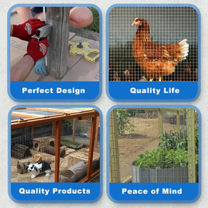 Grillage carré en maille, utilisé pour la fabrication <span class=keywords><strong>de</strong></span> cages pour animaux, le jardinage et la construction, revêtement PVC, matériau <span class=keywords><strong>galvanisé</strong></span> - Product Image 2